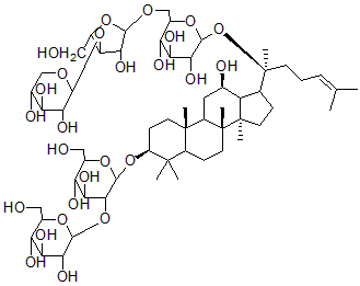 2025新老澳门原料