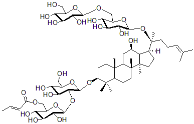 2025新老澳门原料