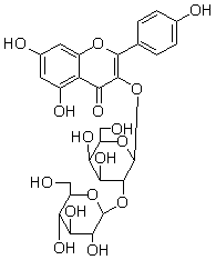 2025新老澳门原料