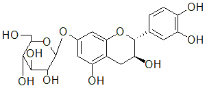 2025新老澳门原料