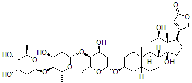 2025新老澳门原料