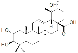 2025新老澳门原料