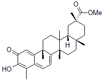 2025新老澳门原料