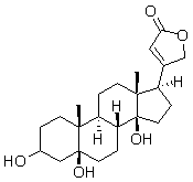 2025新老澳门原料