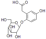 2025新老澳门原料