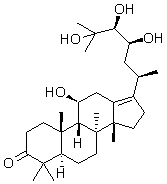 2025新老澳门原料