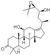 2025新老澳门原料