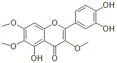 2025新老澳门原料