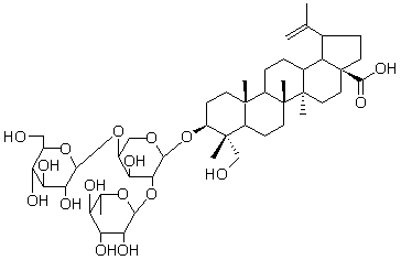 2025新老澳门原料