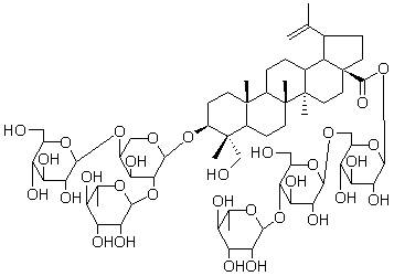 2025新老澳门原料