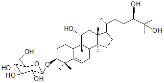2025新老澳门原料
