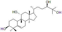 2025新老澳门原料