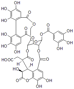 2025新老澳门原料