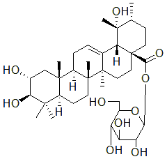 2025新老澳门原料