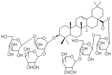 2025新老澳门原料