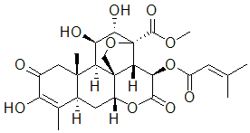 2025新老澳门原料
