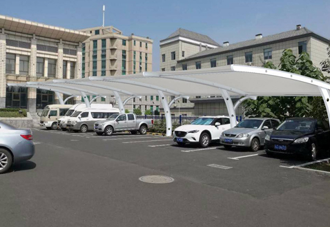 2025新老澳门原料